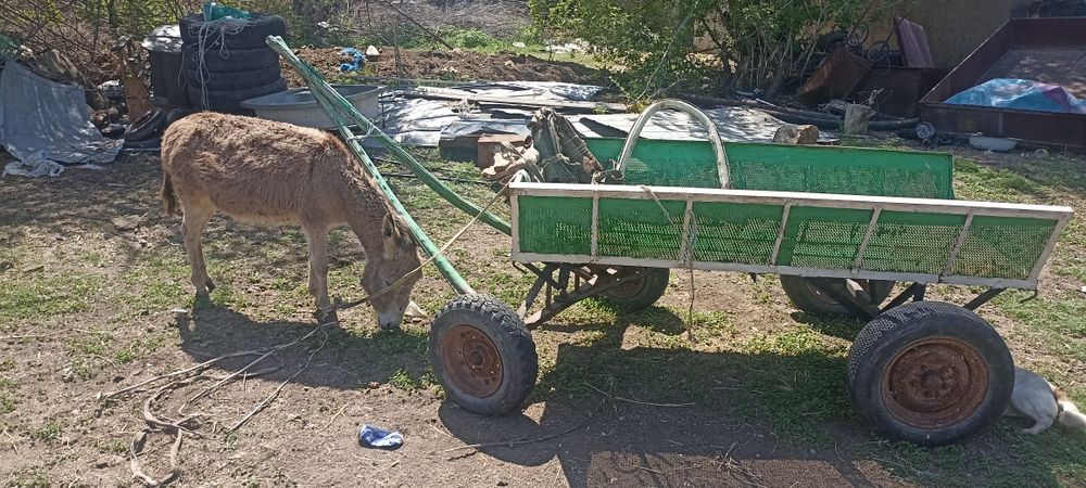 Есек арба сатылады