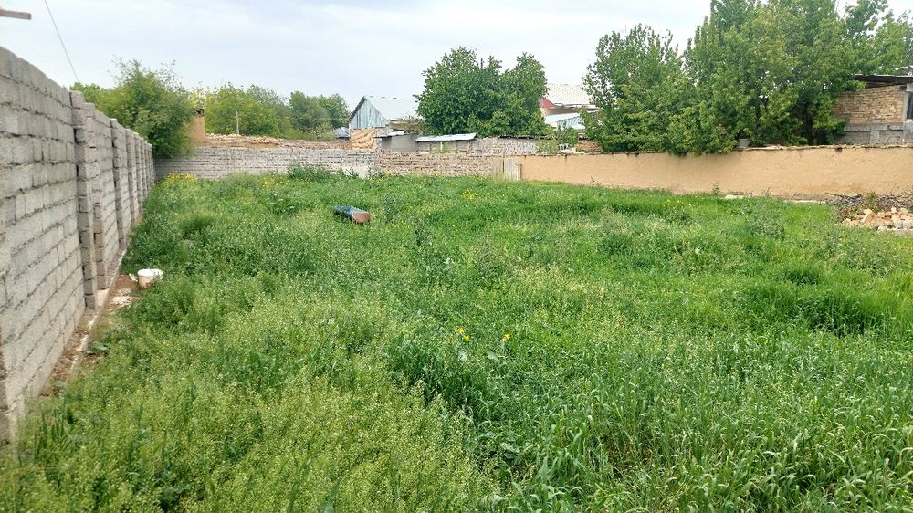 Yer sotiladi 8 sotx fasad 20 × 40
