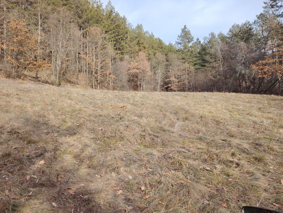 Продава се Парцел в с. Добърчин, Област София-област - 3972 кв.м за 6 €/кв.м - Снимка #4