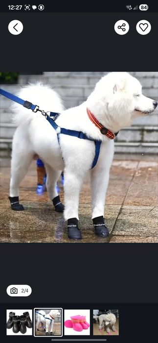 încălțăminte cizme câini pisici papuci ghetuțe câini