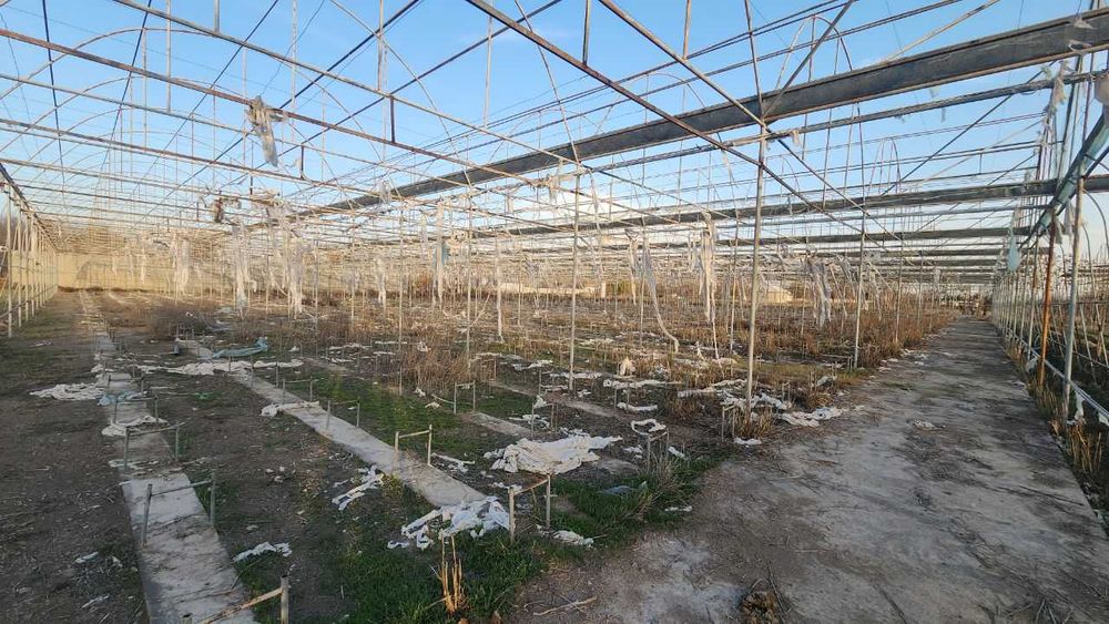 Omborxona va yordamchi binolar