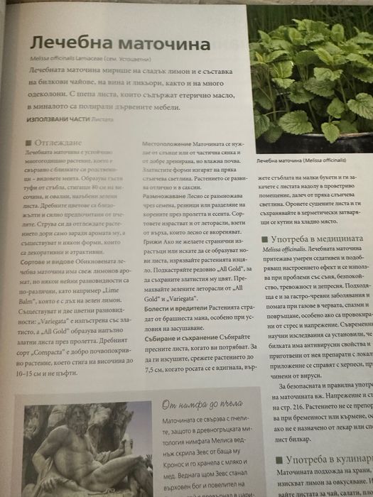 Прекрасна книга за света на билките! "НЕОБЯТНИЯТ СВЯТ НА БИЛКИТЕ" - Рийдърс Дайджест /// книги билки рецепти ботаника
