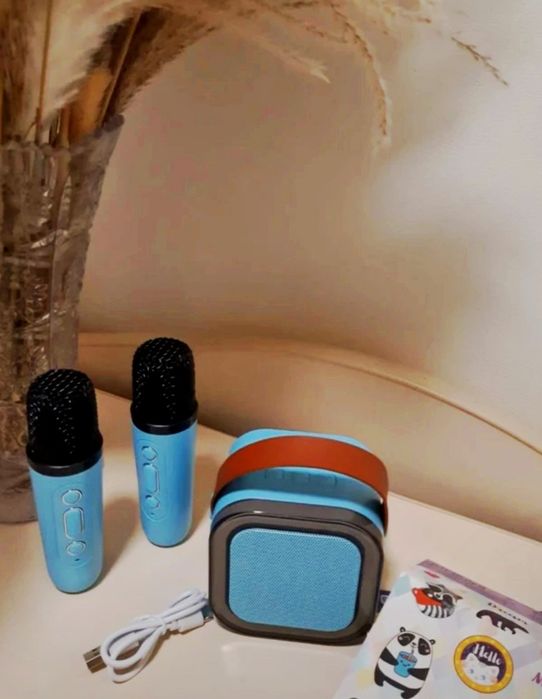 Колонка с двумя микрофоном 5в1