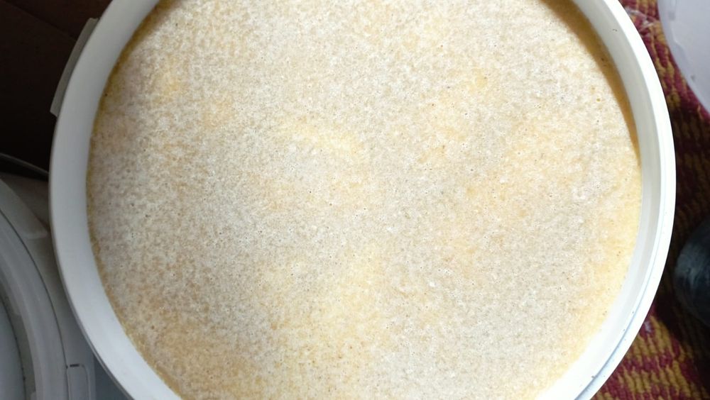 Продам мёд в ведрах