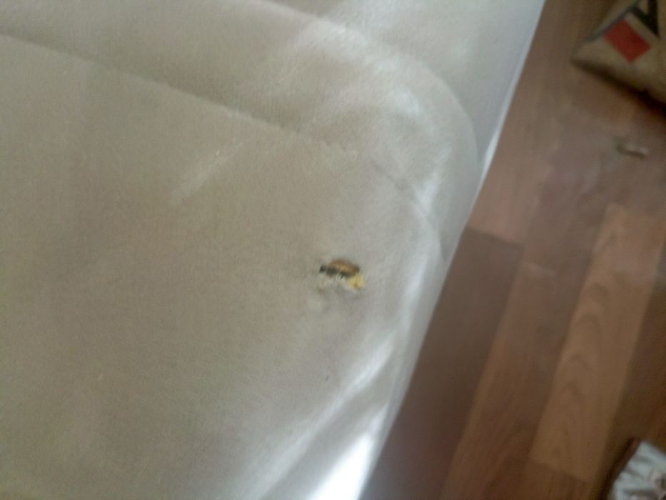 Продам диван в хорошем состояние