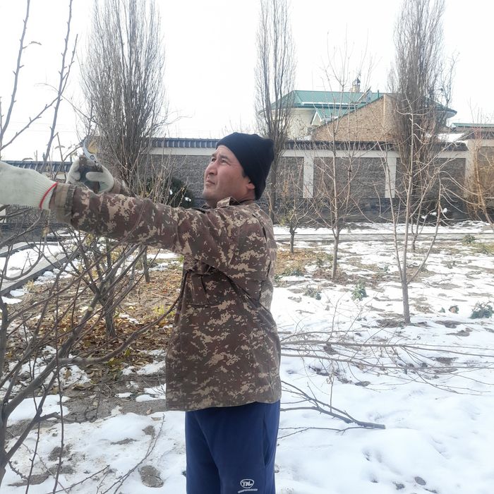 Услуги. Богбонлик ишларини киламиз. Садовник, Дворник, Уборка территор