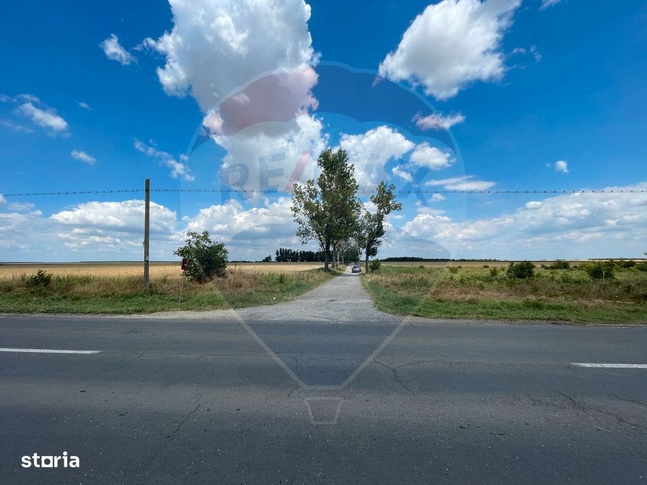 Teren 4.350 mp Balta Pasarea - 30 minute Bucuresti