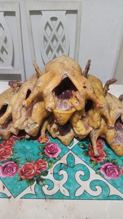 Продам уток и мясо утки