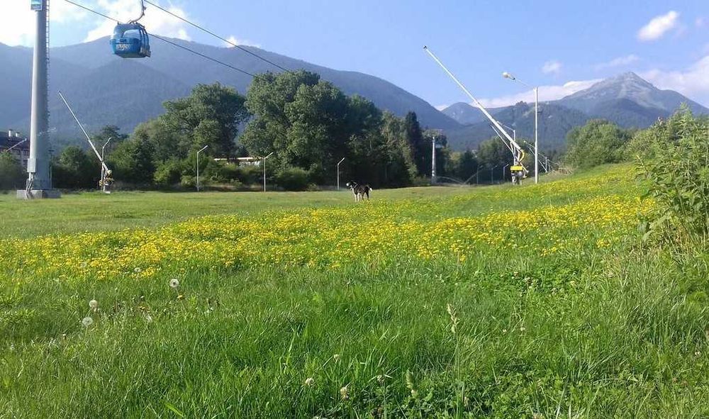 Дава се под наем Къща в Банско - 320 кв.м за 430 € - Снимка #10