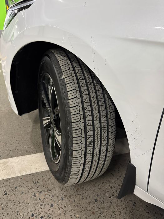 Chazor full 4 pizitsa