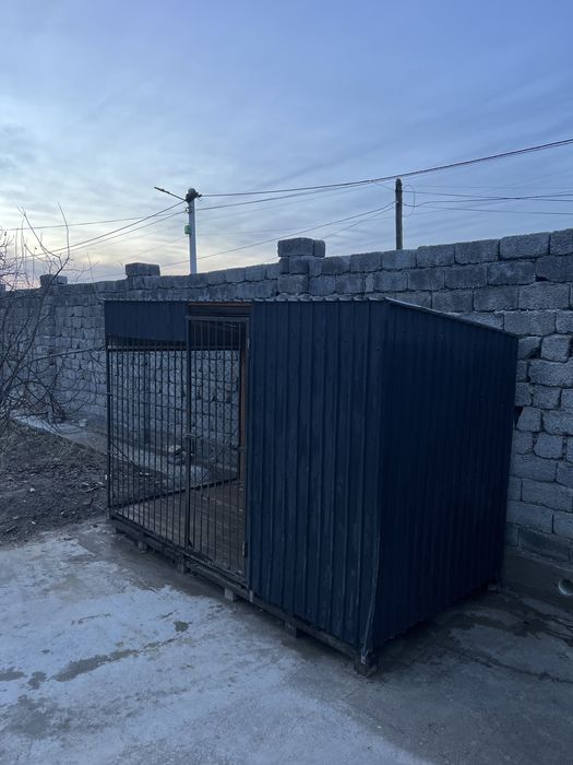 Вольер и собака