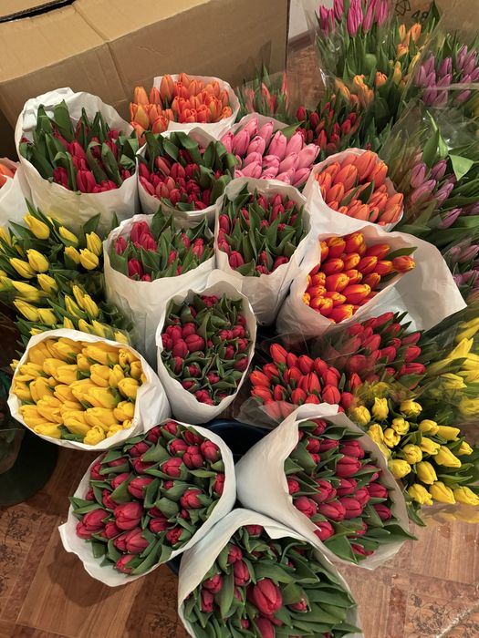 Тюльпаны оптом костанай