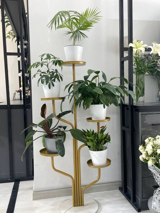 Gullar uchun padstavka