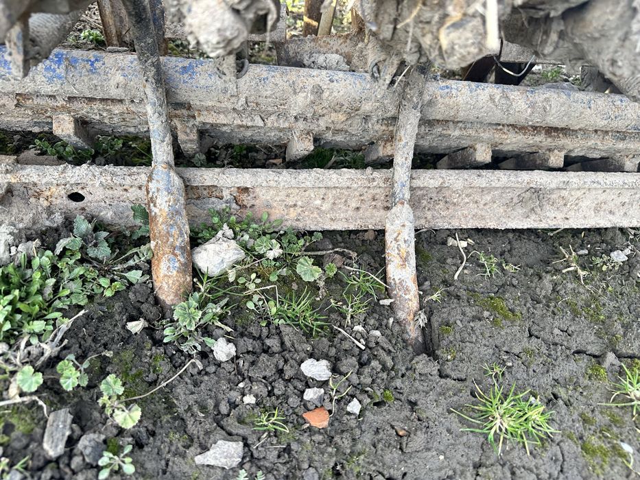 Semanatoare paioase 2,5 m metri fiona