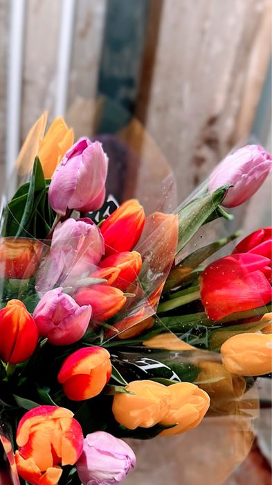 Тюльпаны премиум класса к 8 марта