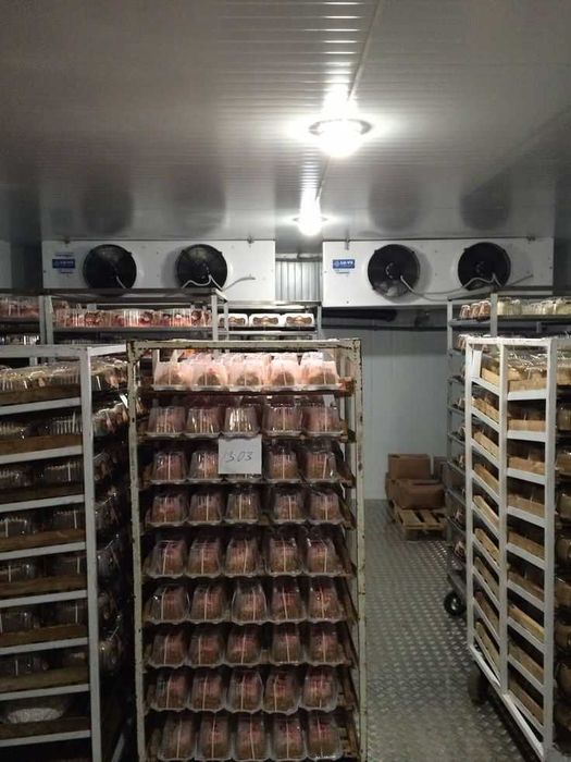 Рефрижератор для фермеров - от -25 до +10°C