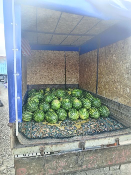 Нужна Газель не проблема?!