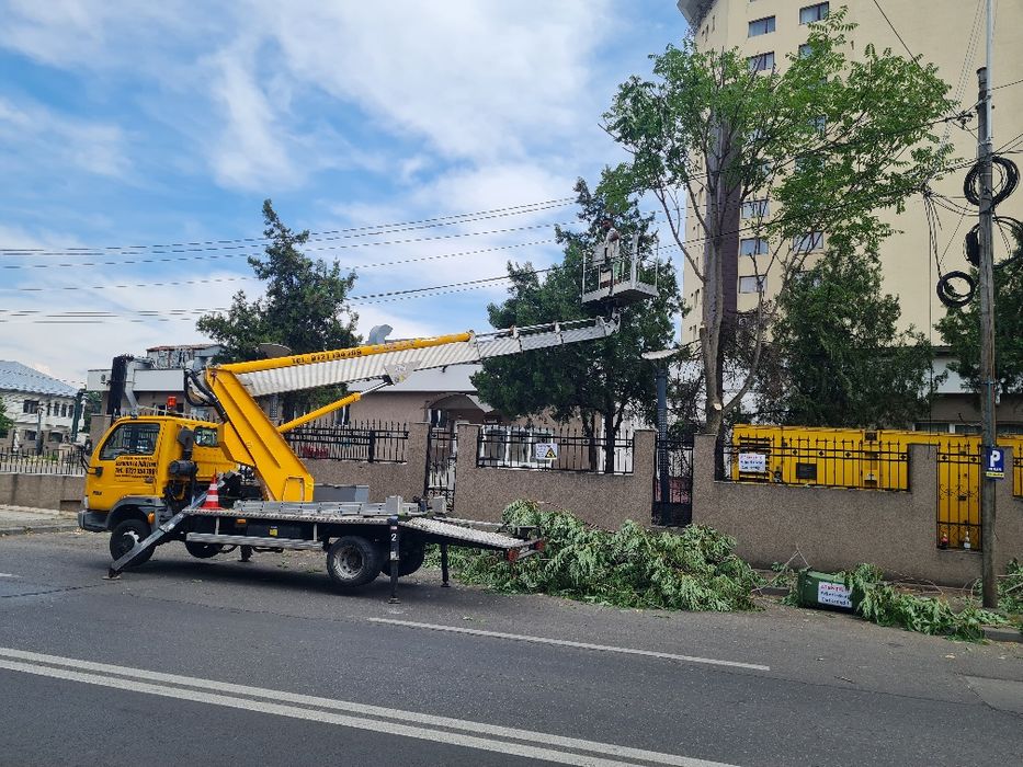 Amenajari curti si spatii verzi