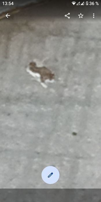 Doxa, Ceas barbatesc mecanic militar