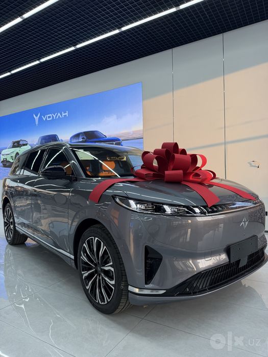 Dongfeng 008 hybrid max