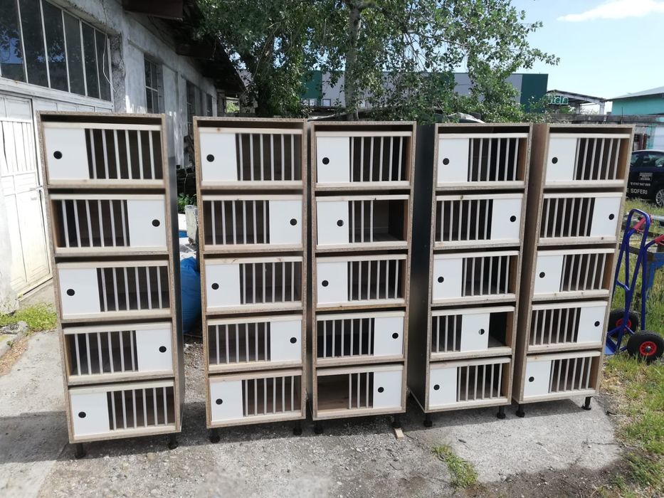 Rafturi cu 5 boxe