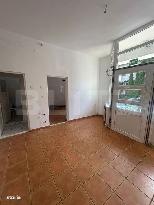 Spatiu comercial stradal