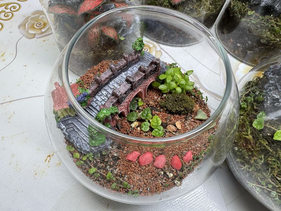 Продам флорариумы!