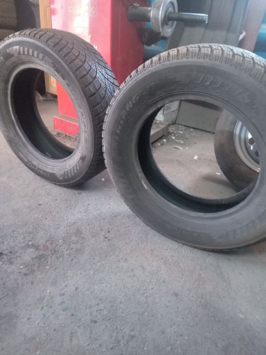 Продам зимние шины Triangle в отличном состоянии. .