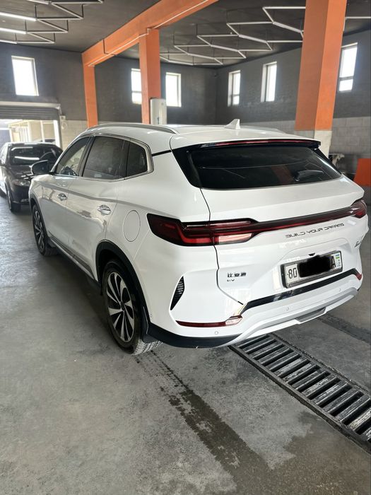 Byd chempion 605