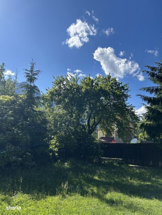 Teren intravilan, 400 mp, Busteni Cartier Zamora – Panorama spre Buc