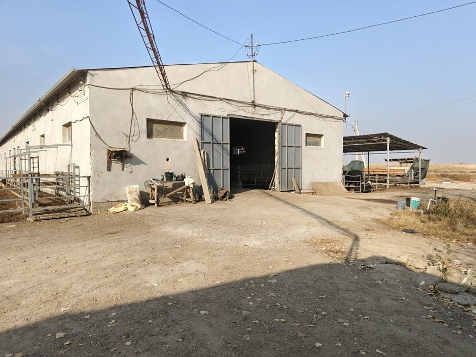 молхона сотилади 6 гектар