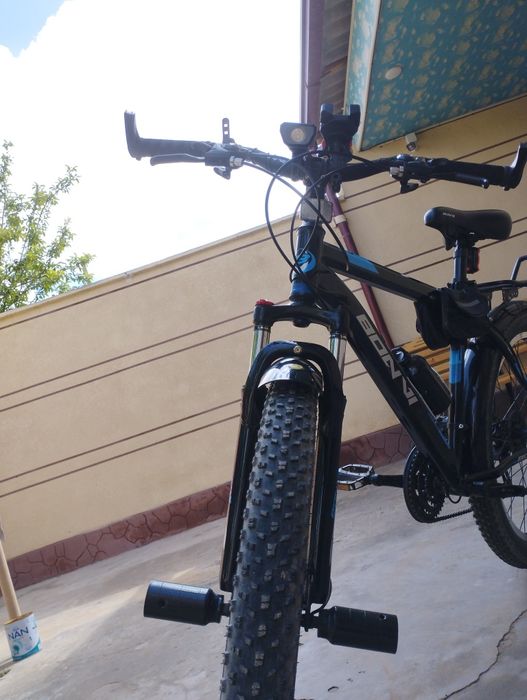 Velik skoris,скорис велик