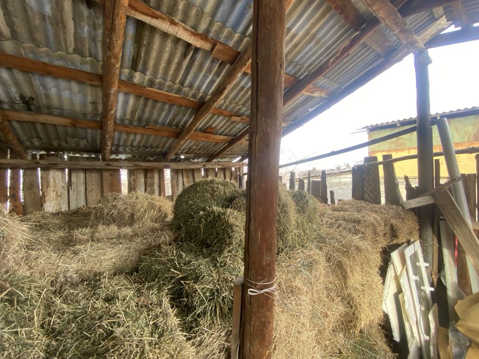 Продам сено садовое в тюках