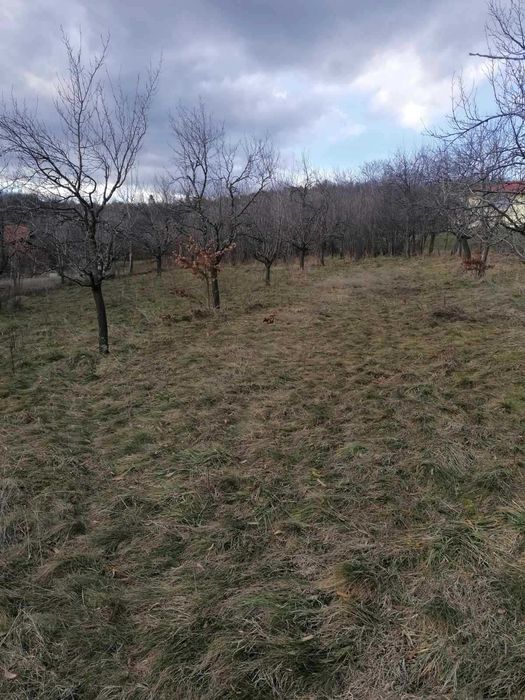 Парцел в регулацията на с.Гумощник