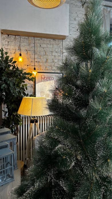 Ёлки на любой размер