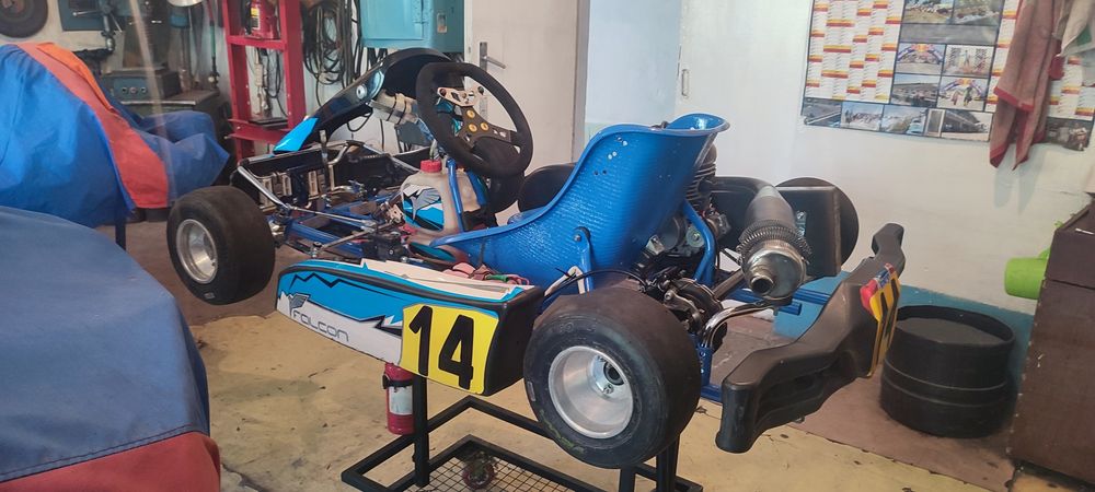 Картинг профессиональный