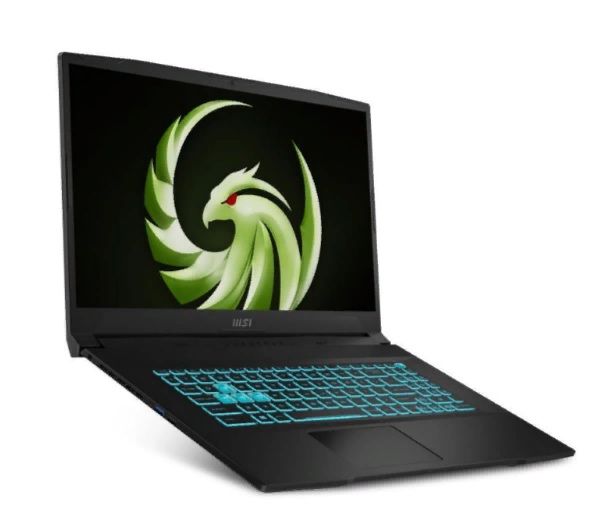 MSI Bravo 17 RTX4060 laptop