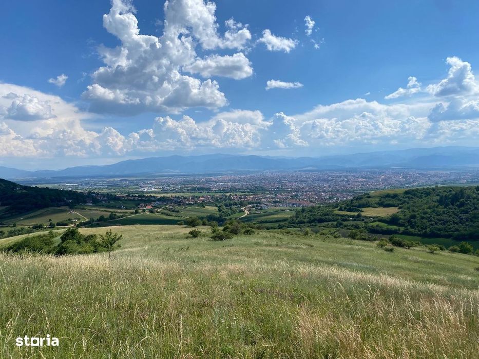 Teren Gusterita, posibilitate parcelare dupa preferinte