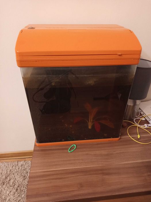 Аквариум с оборудованием