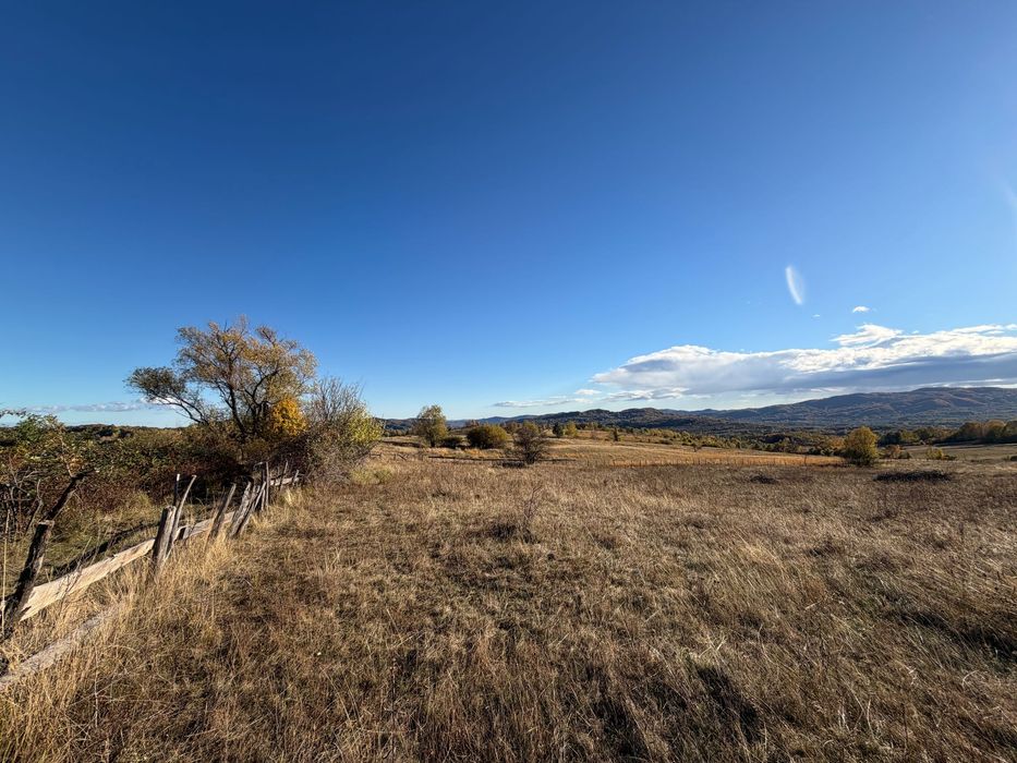 Teren de vis Horezu 10 000m