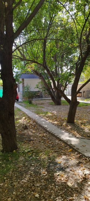 Дача, Ташморе, 6 соток