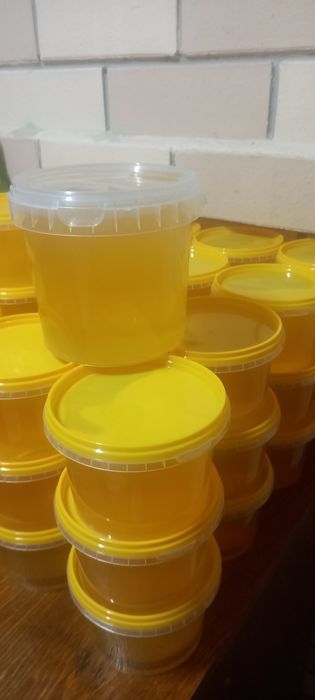 Мёд, урожай 2025