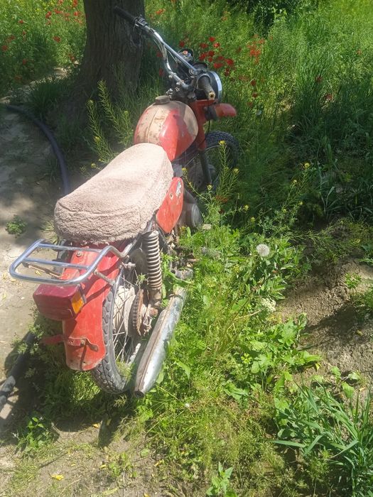 Minsik yaxshi holadda