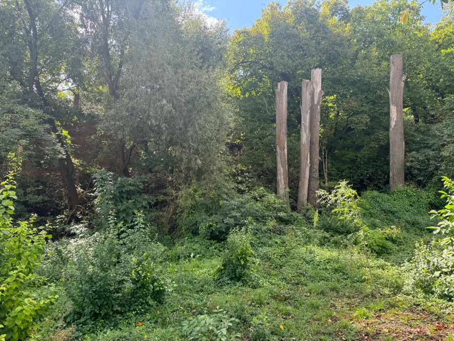 Продава се Къща в София, Орландовци - 1175 кв.м за 49 €/кв.м - Снимка #11