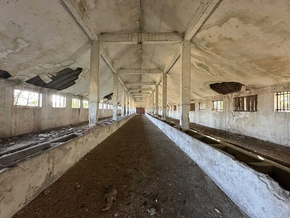 Продава се Промишлена сграда в с. Маноле, Област Пловдив - 5500 кв.м за 20 €/кв.м - Снимка #7
