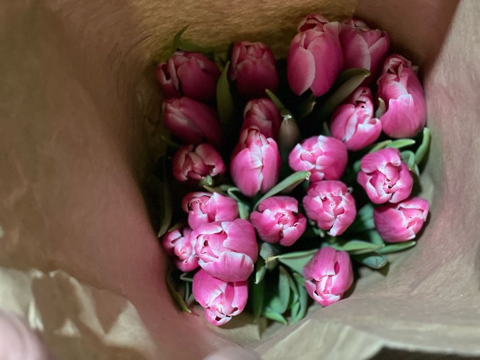 Тюльпаны оптом !!