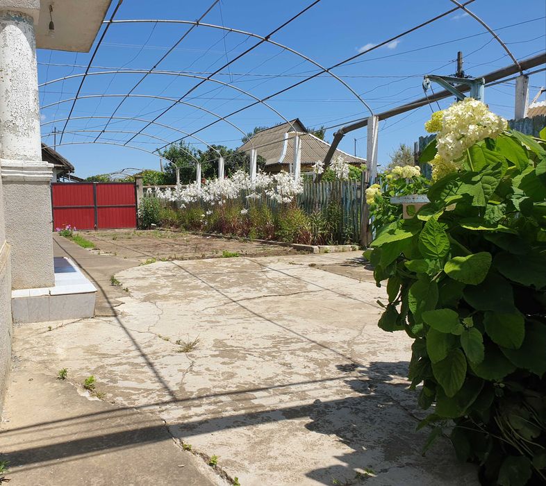 vand casa teren 1853mp Sarichioi, Tulcea