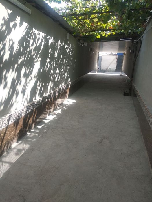 Xovli bor sergelida 4,5 sotik