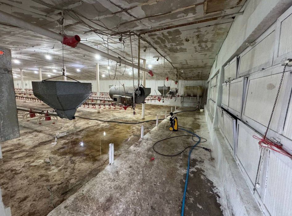 Продаётся птицеферма