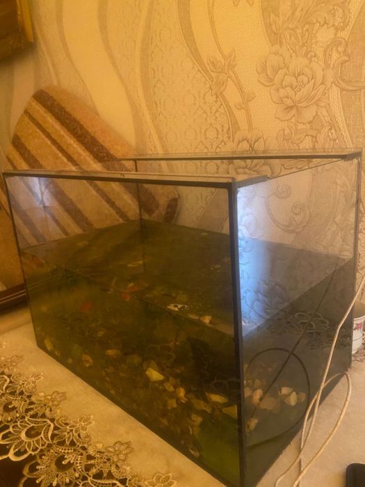 Аквариум с рыбками